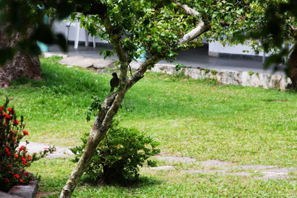 Pousada Sitio Paraiso Itacaré Exterior foto
